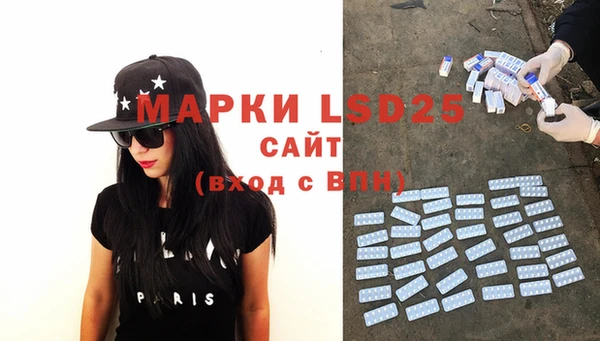 стафф Аркадак
